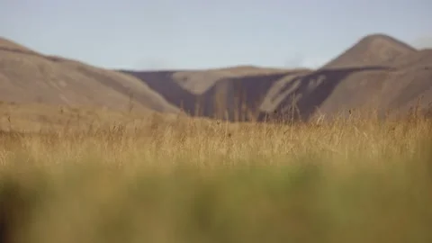 Iceland Volcano Field Video stock 164769533