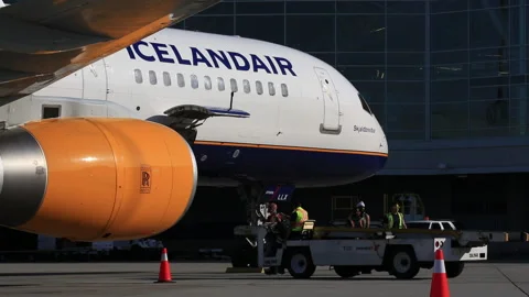 IcelandAir Gate Crew Unloading Baggage at Gate Stock Footage 219374425