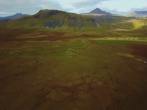 Icelandic horses on the field. Stock Footage 80945525