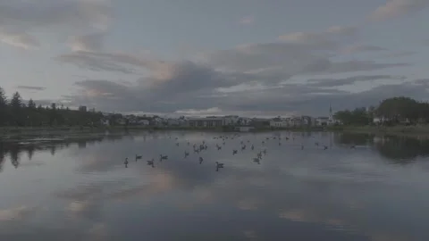 ICELANDIC LAKE WITH DUCKS Video stock 328151479