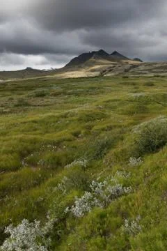 Icelandic landscape Stock Photos