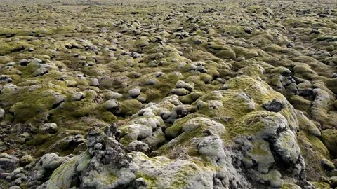 Icelandic Lava Field Stock Footage 141916580