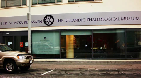 The Icelandic Phallological Museum Stock Footage 39131764
