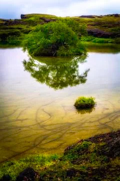 Icelandic reflections Stock Photos