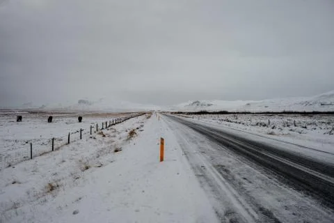 An Icelandic road Stock Photos