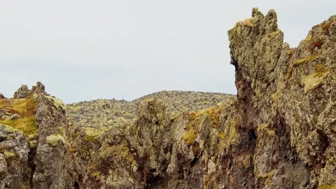 Icelandic Volcanic Landscape with Moss Covered Cliffs Stock Footage 320229300