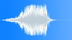 IceSkatesBlade S011SP.338Sound Effect