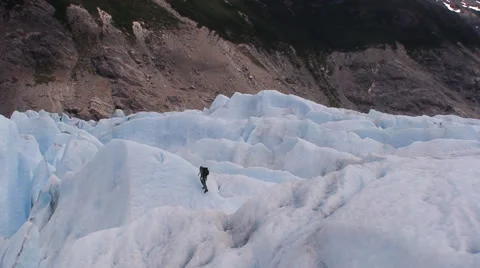 IceTaquito Video stock 40716491