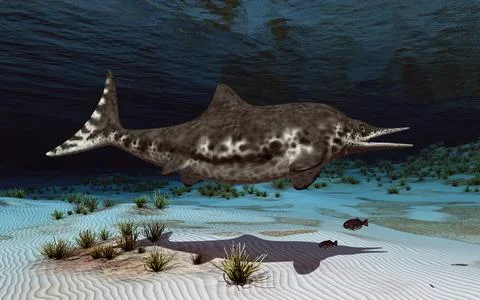 Ichthyosaur Shonisaurus Stock Illustration
