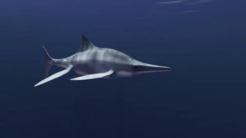 Ichthyosaur swims Stock Footage 321227843