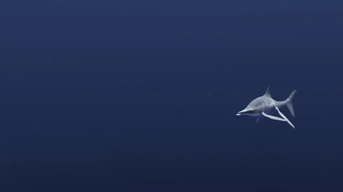 Ichthyosaur swims in the ocean, 4K Stock Footage 321226343