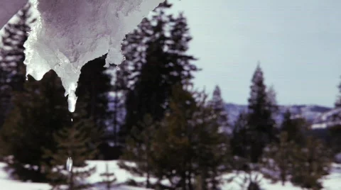 Icicle 1 Stock Footage 681667