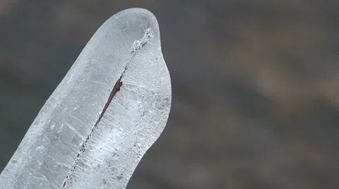 Icicle and river Stock Footage 982824