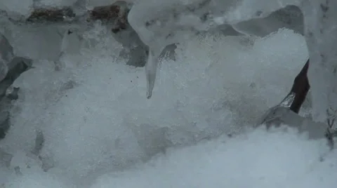 Icicle and snow Stock Footage 982778