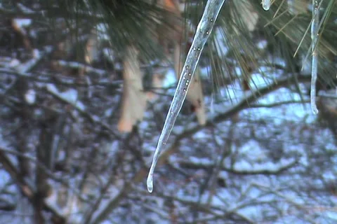 Icicle blowing in the wind Stock Footage 1067988
