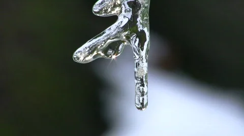 Icicle close up with drips Stock Footage 306453