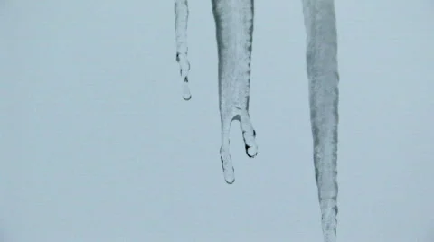 Icicle Drip Video stock 285943