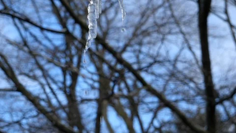 Icicle dripping Stock Footage 86564007