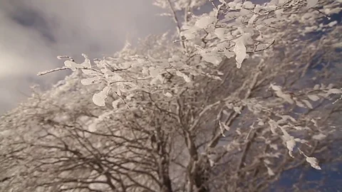 Icicle drips and melts Stock Footage 77050441