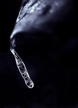 ICICLE drips from leaf Stock Photos