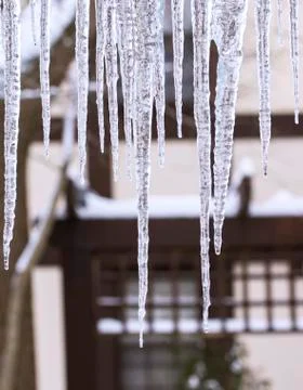 Icicle Eve Stock Photos