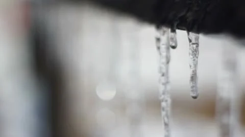 Icicle Stock Footage 20451750