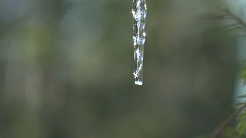 Icicle. Stock Footage 194050015
