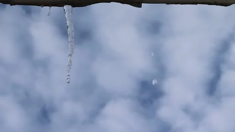 Icicle Glitters in the Sun, Close-up. Drops of Water Fall From Icicles. Stock Footage 234334050