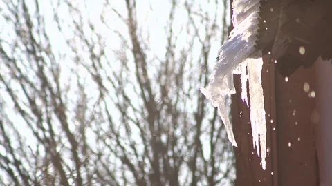 Icicle melt sun tree Video stock 74248857