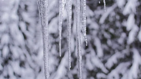 Icicle Melting Stock Footage 85077284