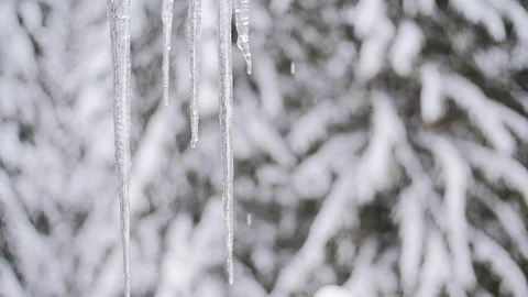 Icicle Melting In Slow Motion Video stock 85103981
