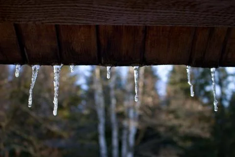 Icicle Stock Photos