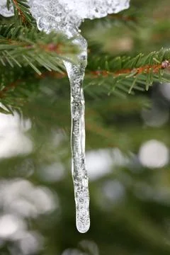 Icicle Stock Photos