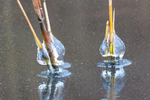 Icicle on the river. Stock Photos