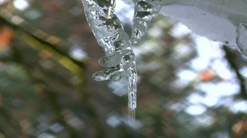 Icicle shaped like a hand  Stock Footage 306556