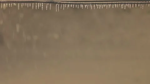 Icicle in the snow Stock Footage 44513971