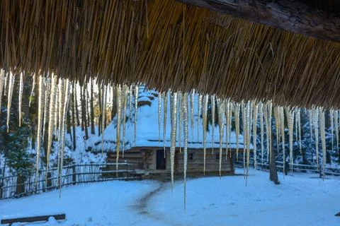 Icicle study in winter. Foto stock