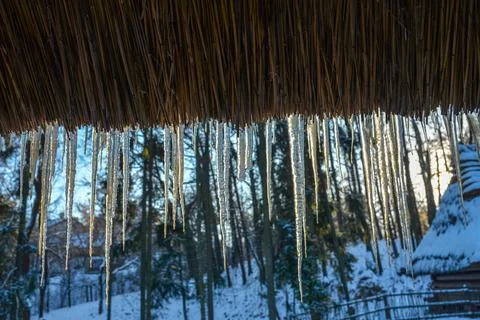 Icicle study in winter. Stock Photos