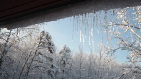 Icicle Trees Stock Footage 44561637