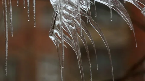 Icicle winter background Stock-Footage 46967151