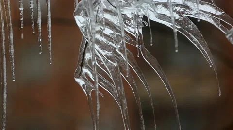 Icicle winter Stock Footage 46967172