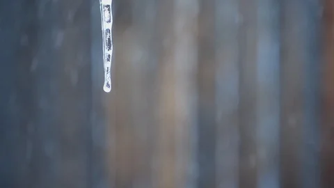 Icicle in winter with slow motion snow flakes over a dark background Vídeo Stock 102674912
