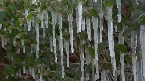 Icicles 001 Stock Footage 16326631