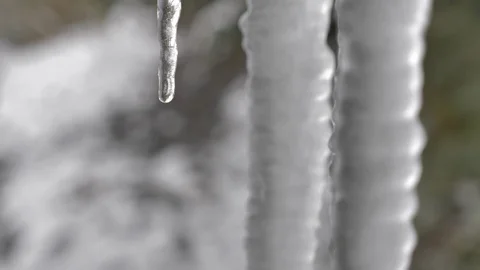 Icicles and waterdrops Stock Footage 97862910