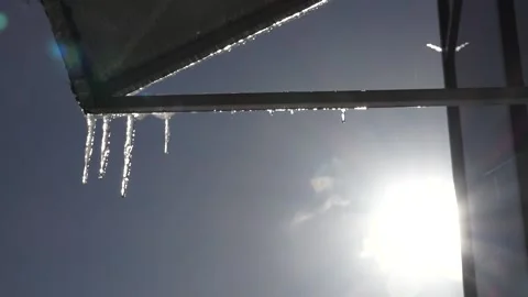 Icicles are melting. Dropping water Stock Footage 149913403