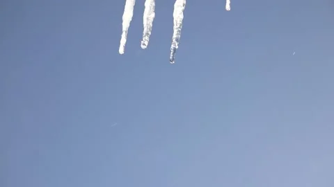 Icicles are melting. Dropping water Stock Footage 149913404