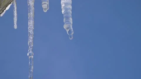 Icicles are melting. Dropping water Stock Footage 149913445