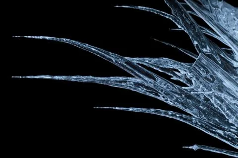 Icicles on a black background Stock Photos