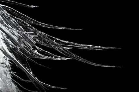 Icicles on a black background Stock Photos