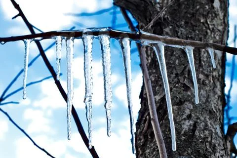 Icicles on blue sky background Stock Photos